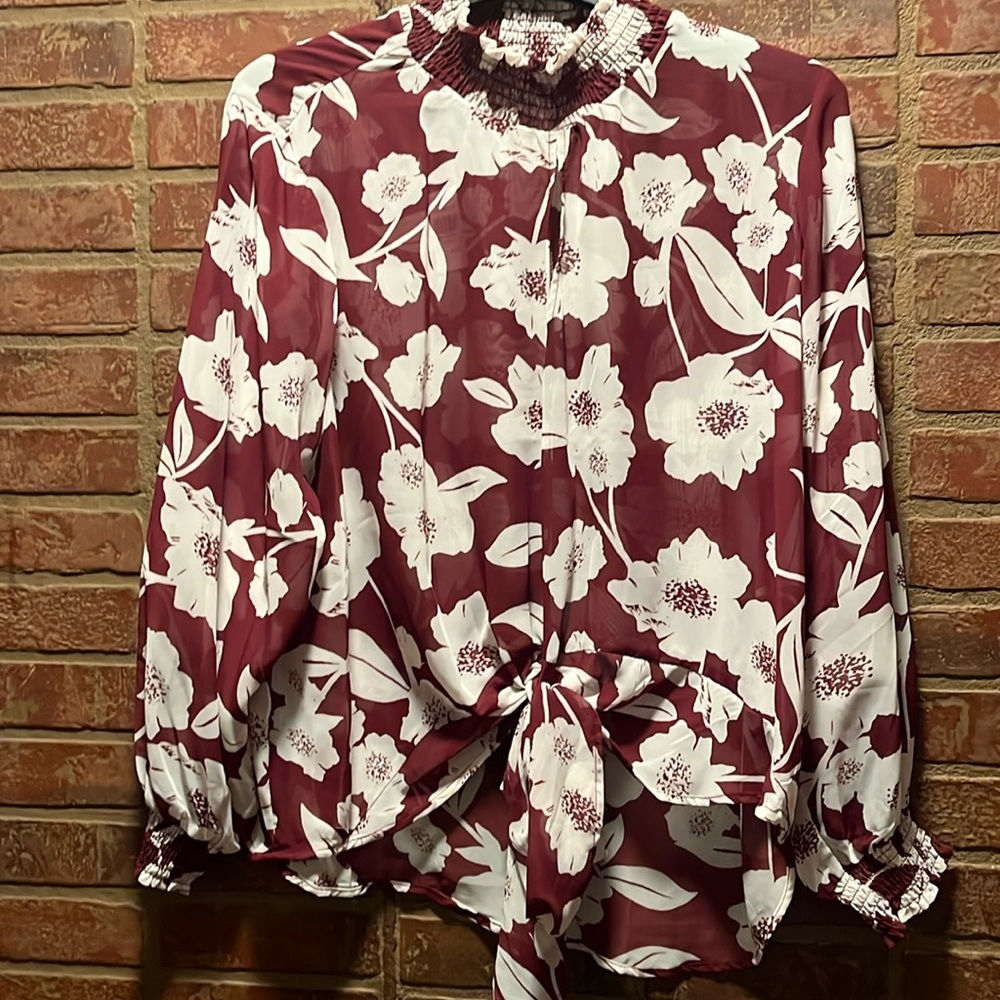 NWT Ladies Sheer Blouse 3X